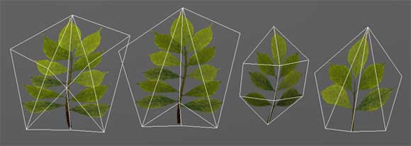 Four Leaf Sets on Forms